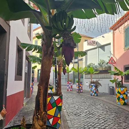 Jose & Idalina House