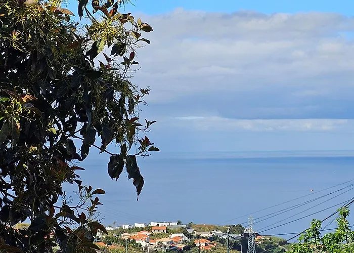 Jose & Idalina House