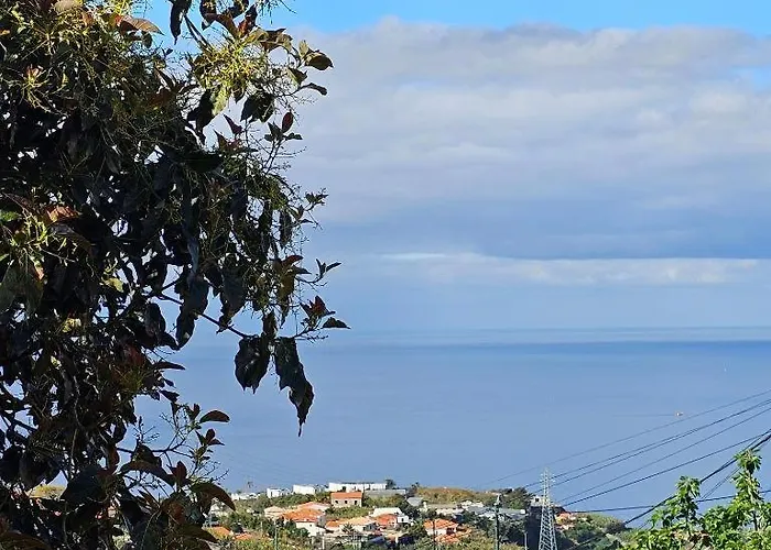 Jose & Idalina House * Funchal (Madeira)