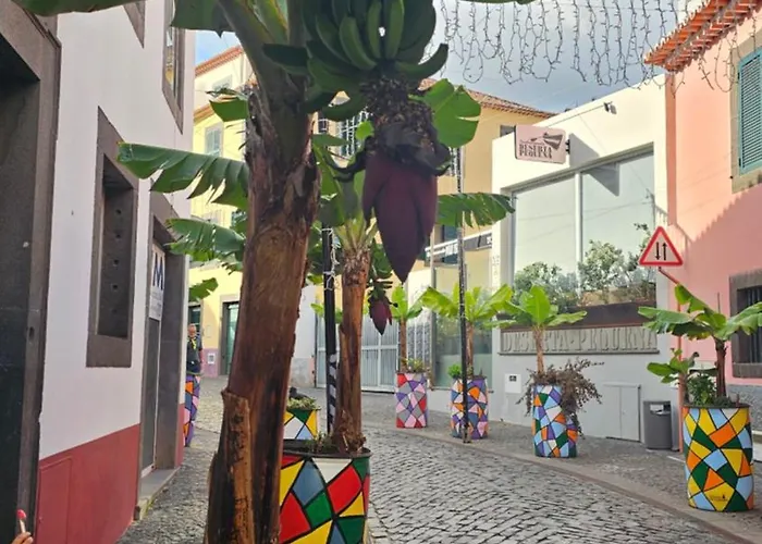 Jose & Idalina House